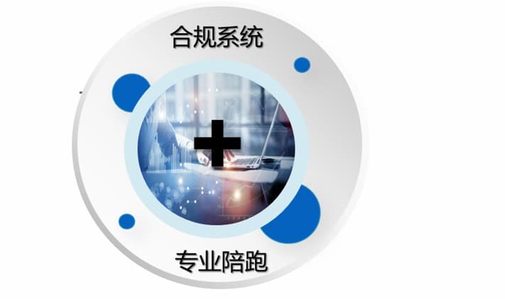 合规系统 专业陪跑